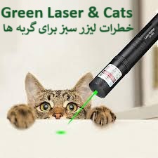خطرات لیزر سبز برای گربه ها